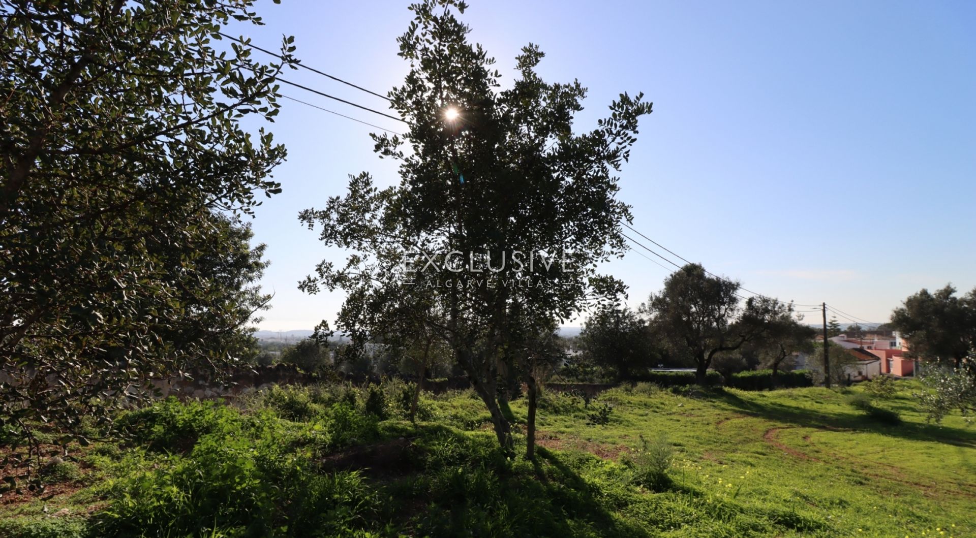 Land in Boliqueime, Faro 12541048