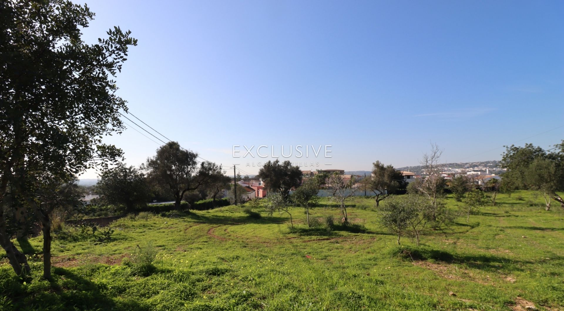 Land in Boliqueime, Faro 12541048