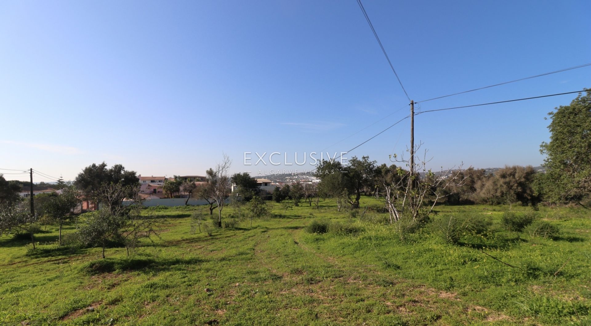 Land in Boliqueime, Faro 12541048