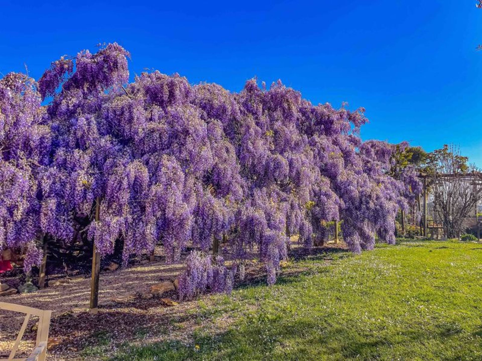 жилой дом в Monpazier, Nouvelle-Aquitaine 12541550