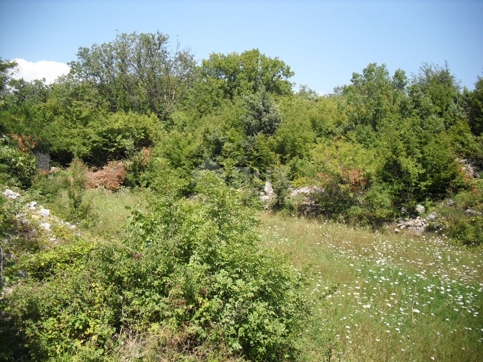 Land im Dobrinj, Primorsko-Goranska Zupanija 12542011