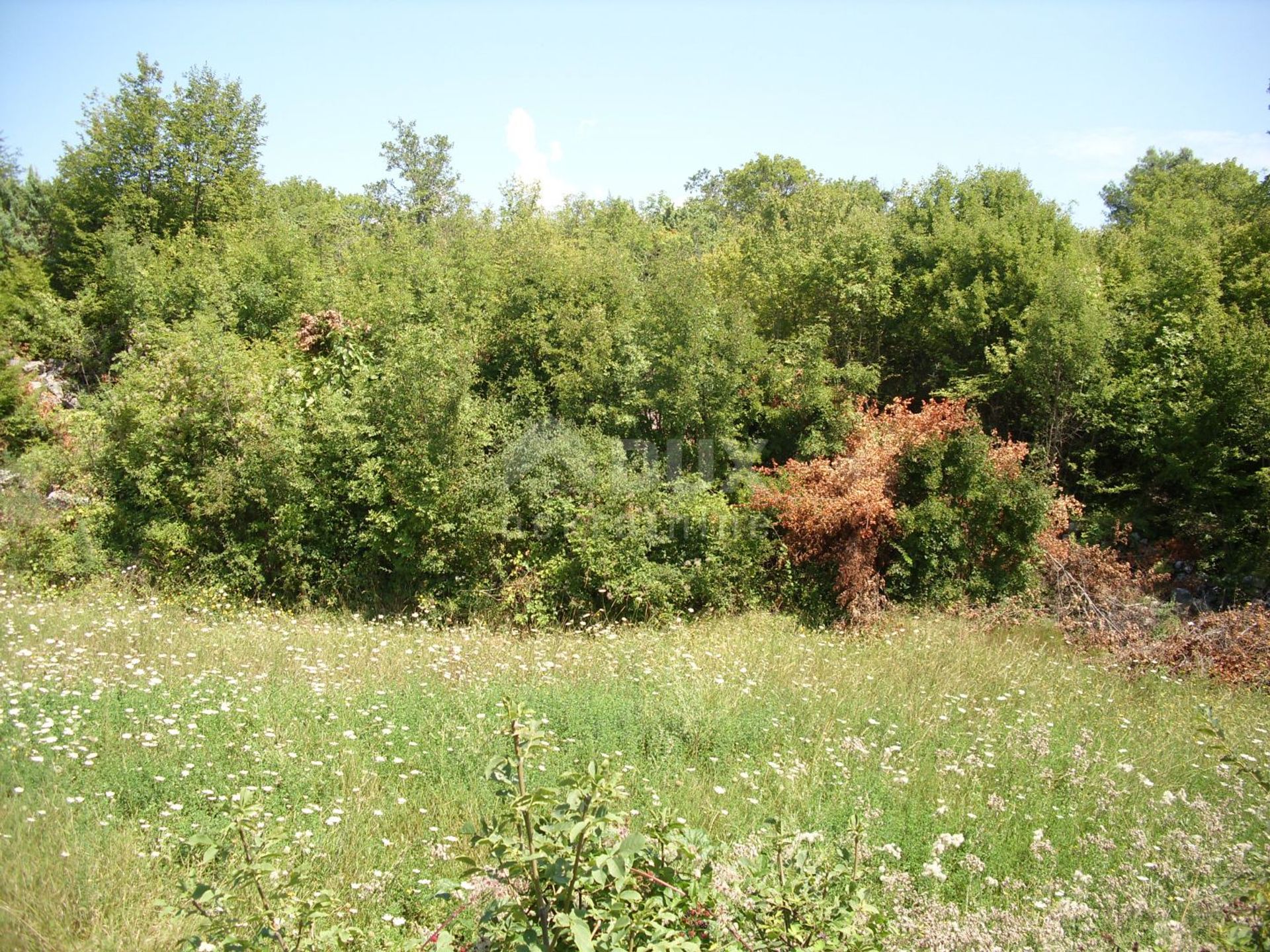 Land in Kras, Primorsko-goranska županija 12542011