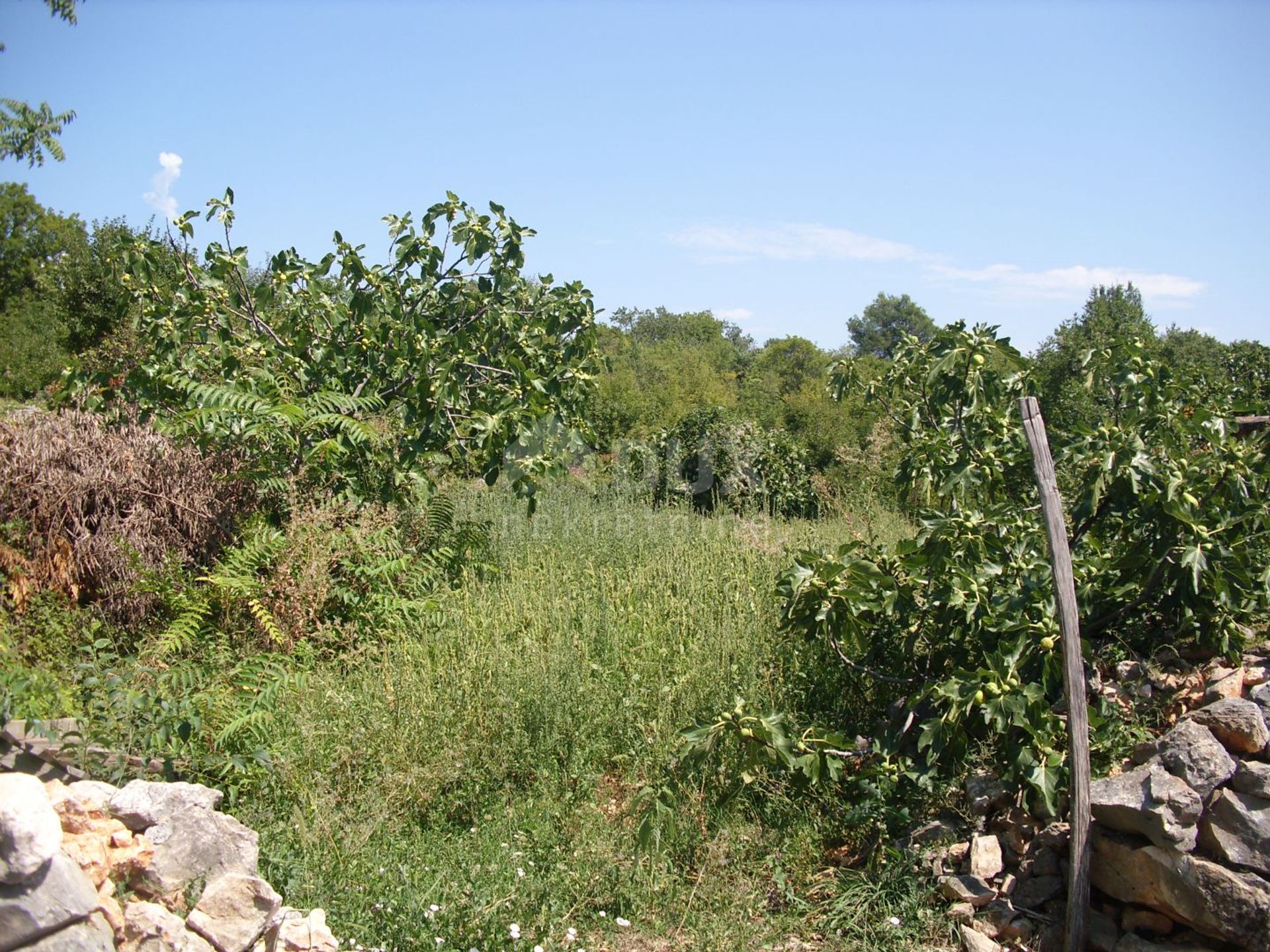 Land in Kras, Primorsko-goranska županija 12542011