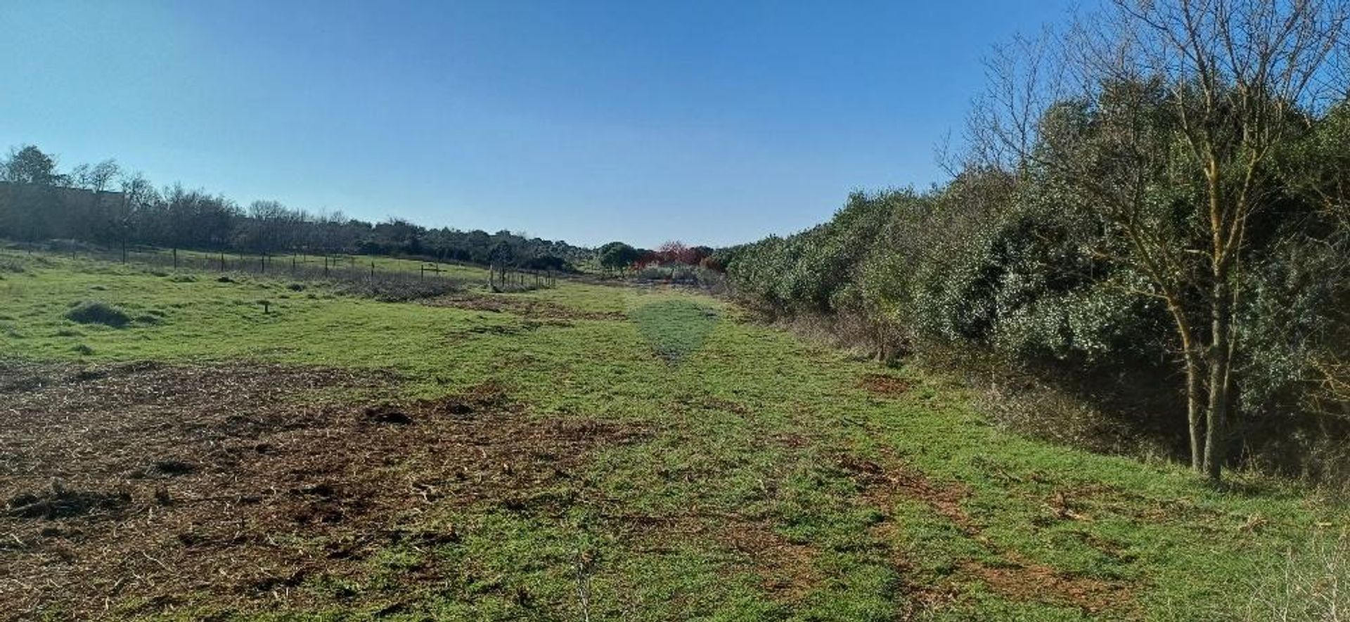 Land in Pula, Istria County 12542581