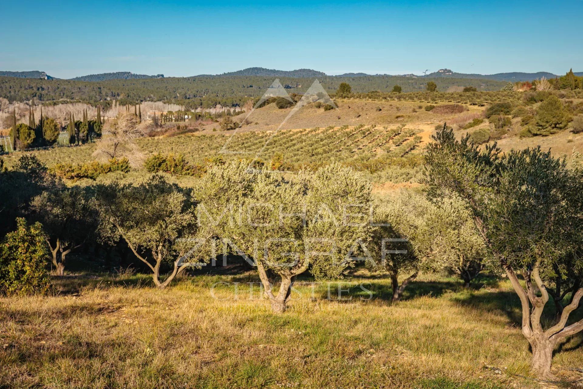 Casa nel Fontvieille, Bouches-du-Rhône 12542596