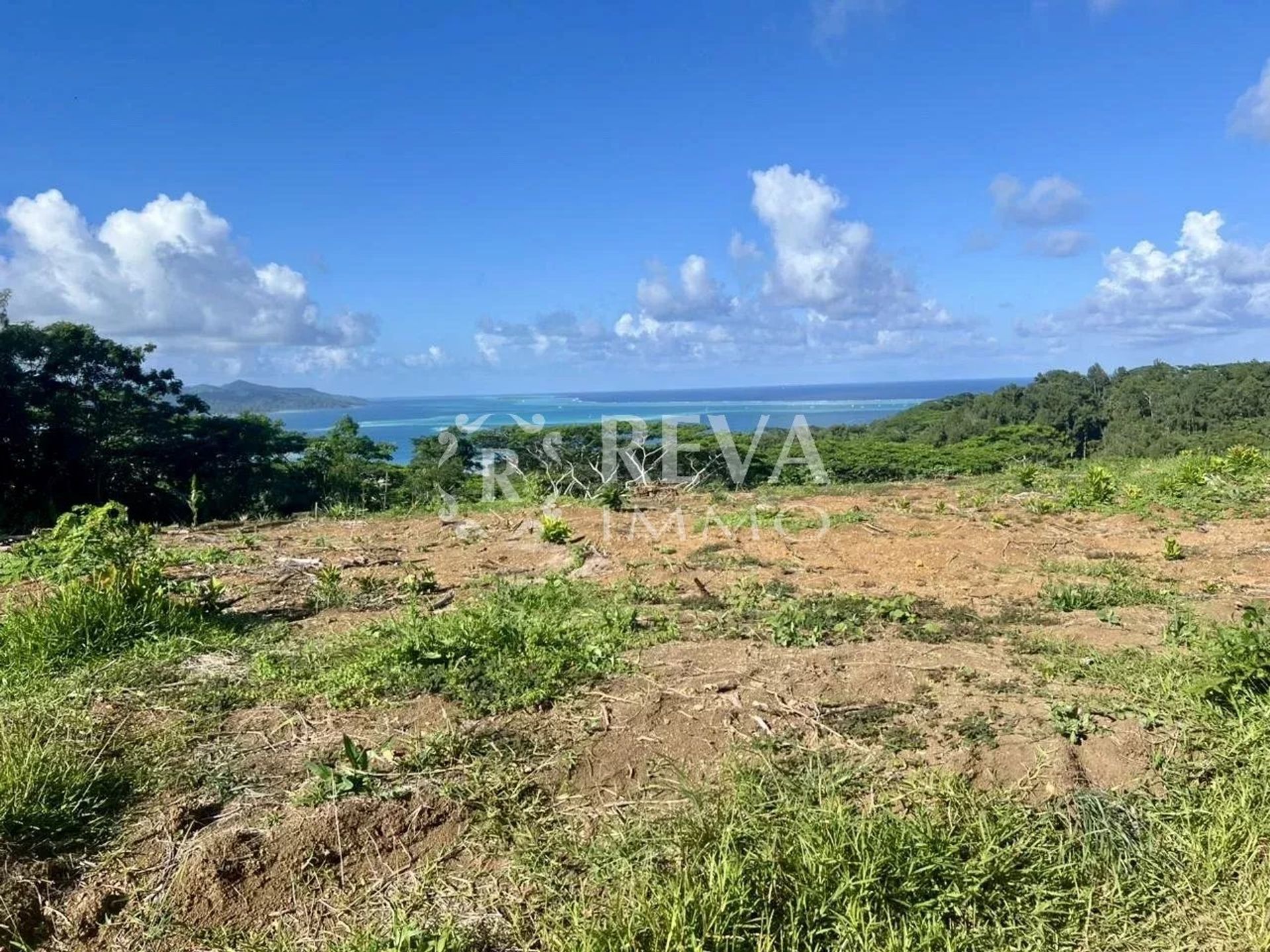 Terre dans Uturoa, Îles Sous-le-Vent 12542633