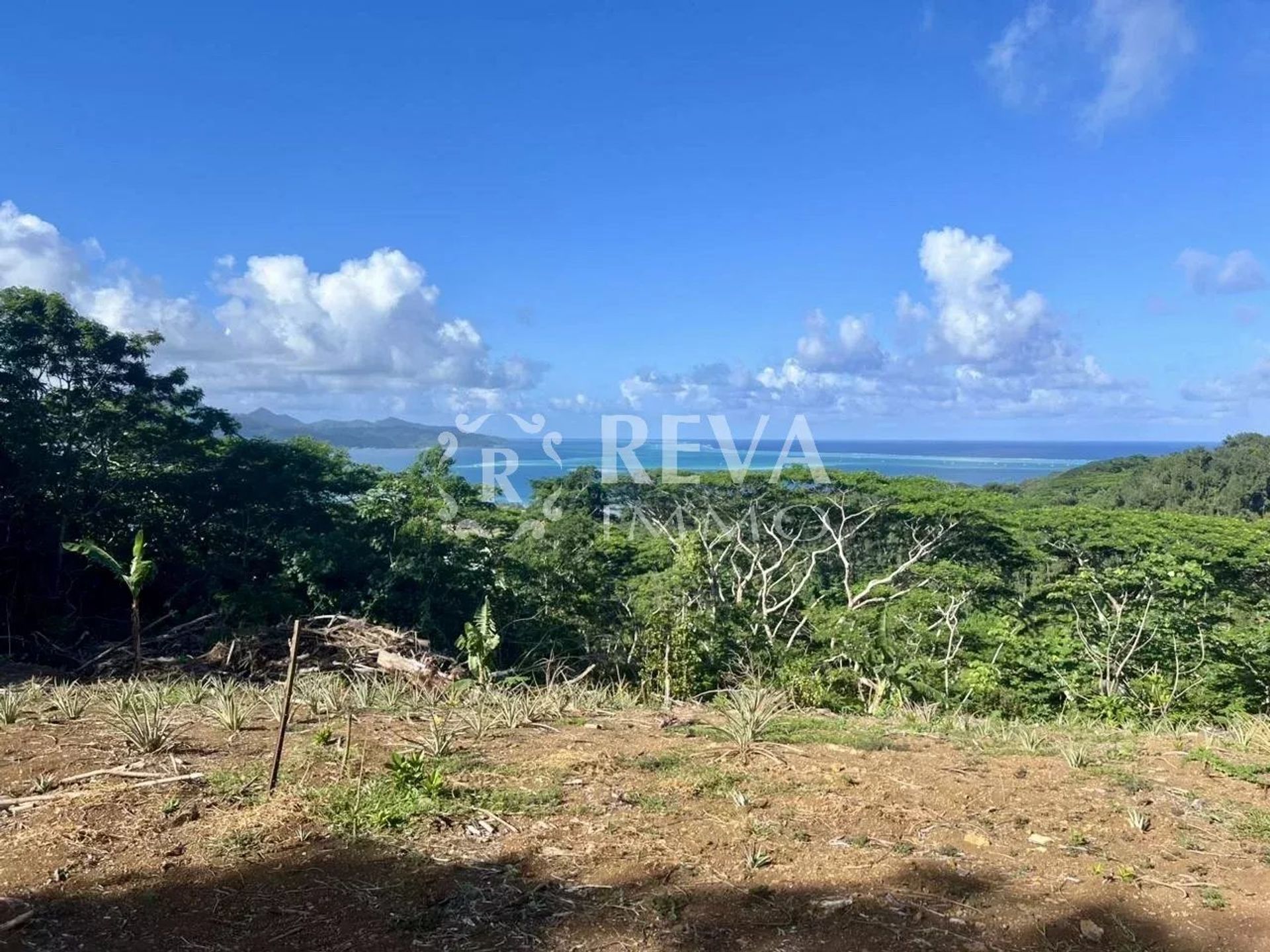 Γη σε Ουτουρόα, Îles Sous-le-Vent 12542633