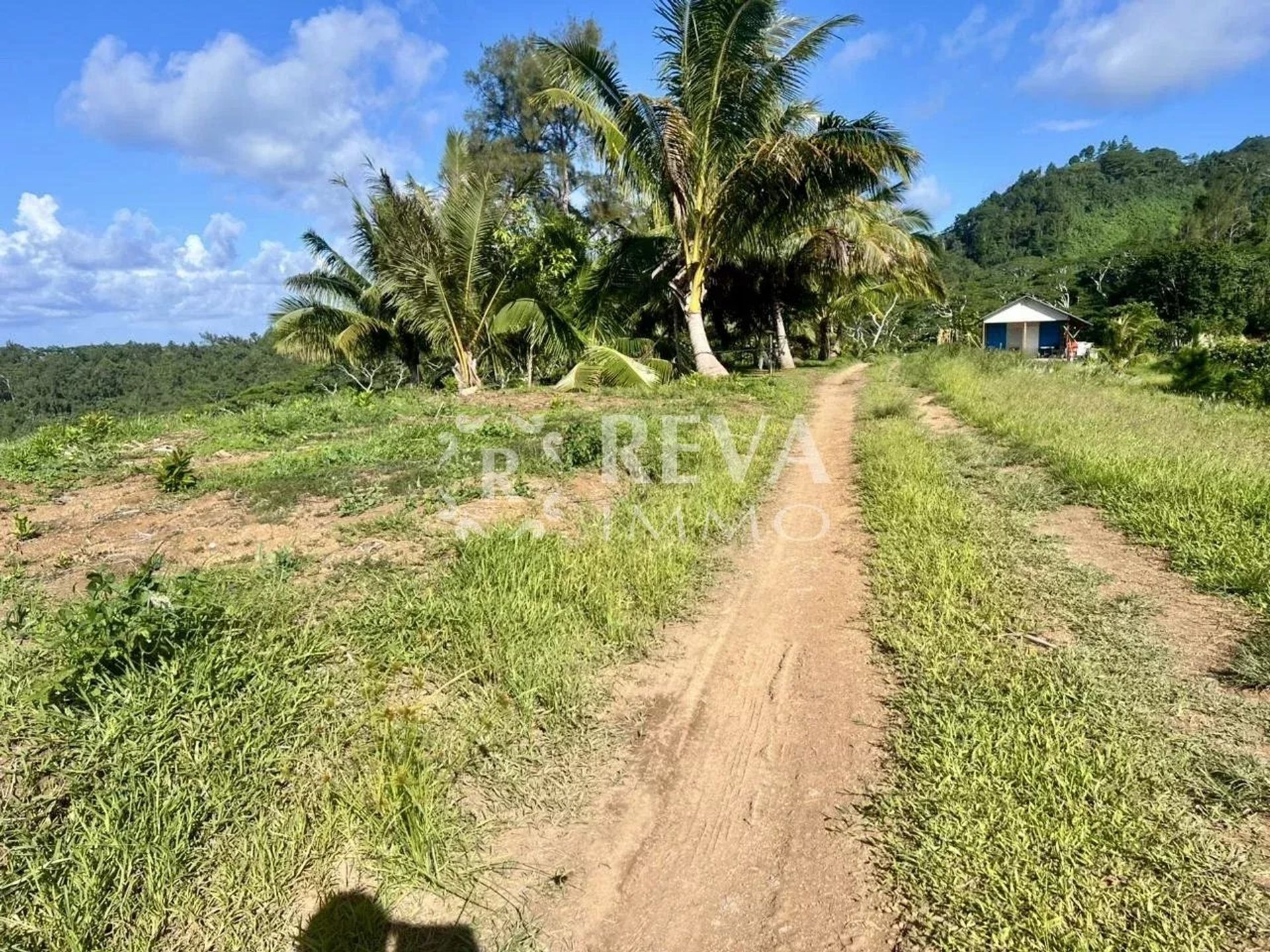 Terre dans Uturoa, Îles Sous-le-Vent 12542633