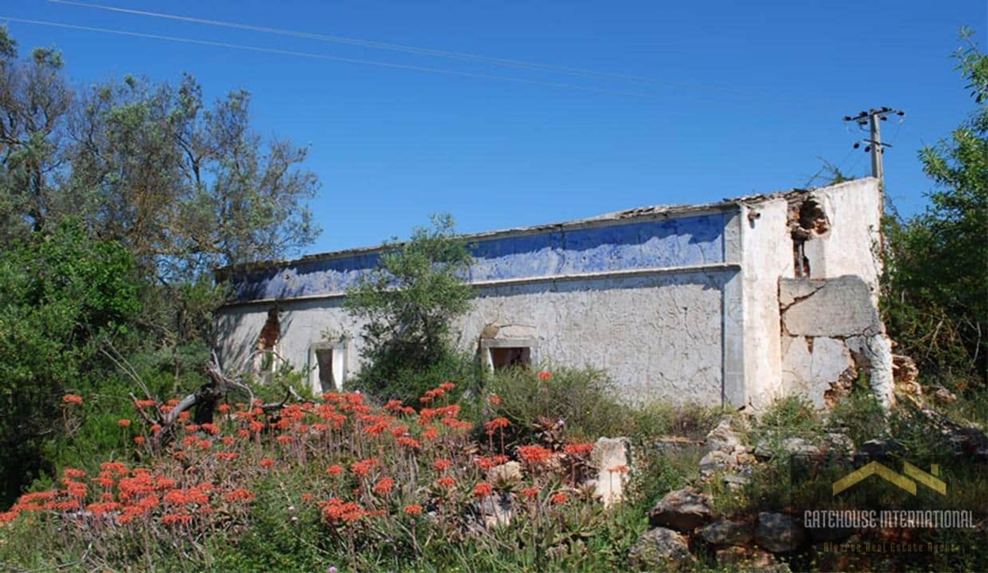 Tierra en Caños, Faraón 12543274