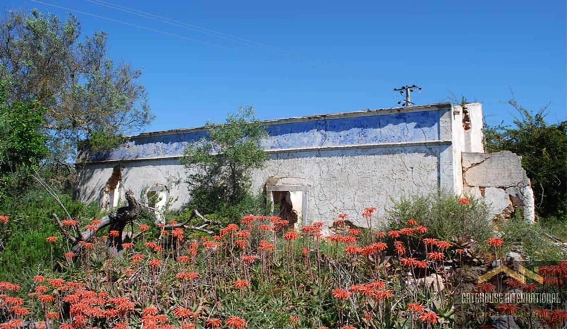 Tierra en Caños, Faraón 12543274