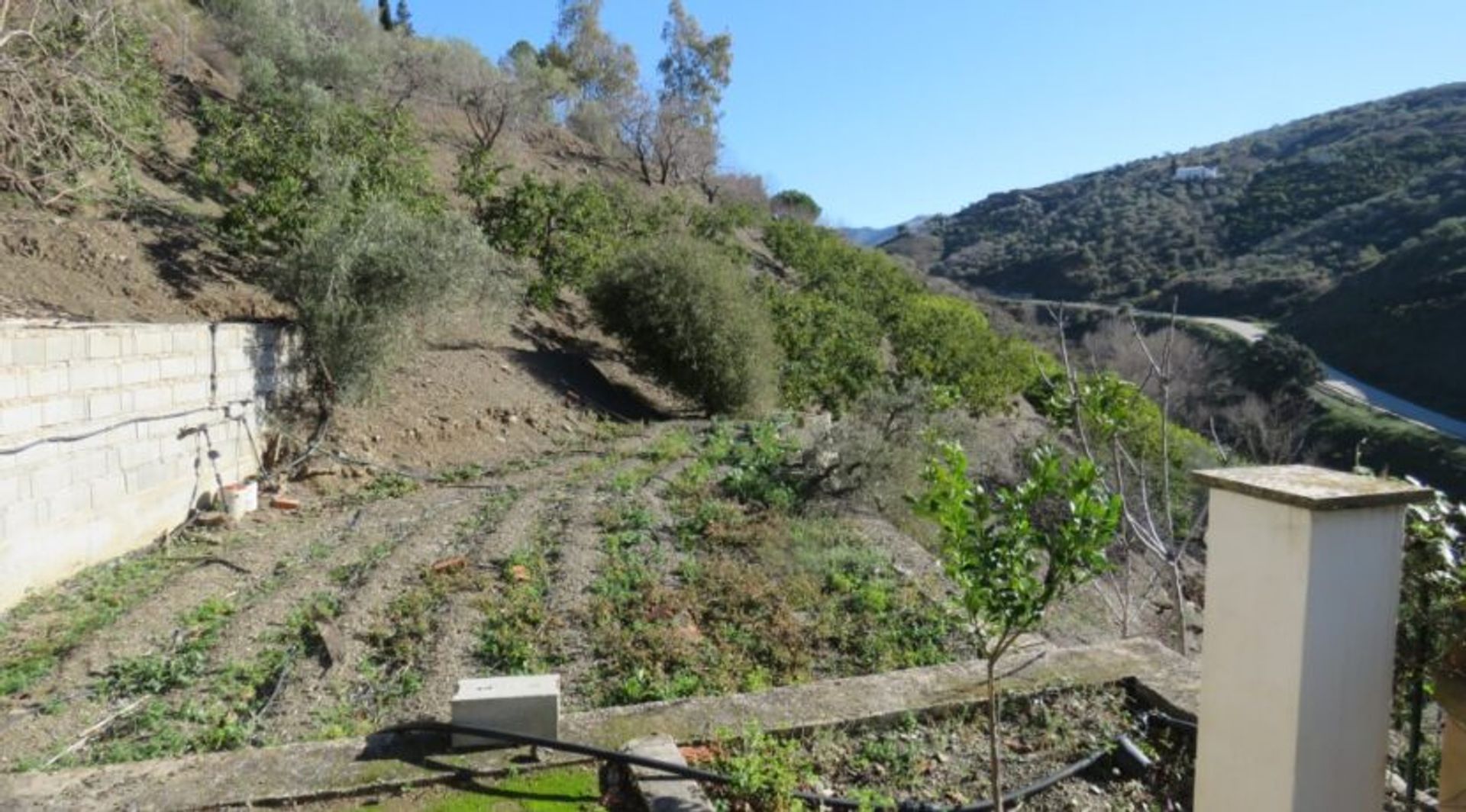 Інший в Canillas de Albaida, Andalusia 12543676