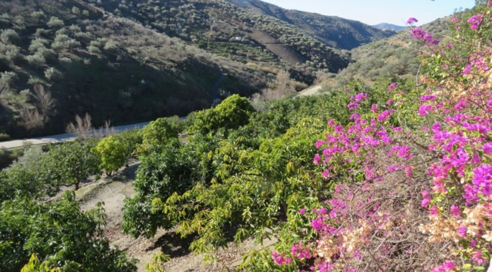 Інший в Canillas de Albaida, Andalusia 12543676