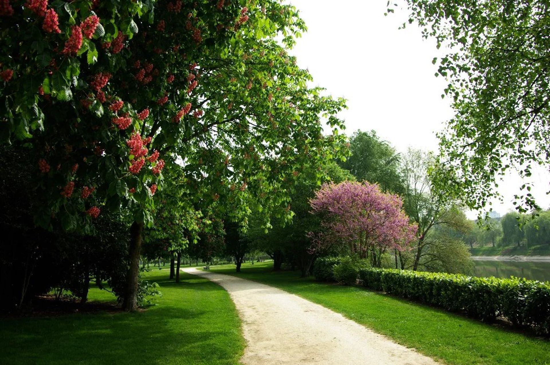 Osakehuoneisto sisään Tours, Indre-et-Loire 12544560