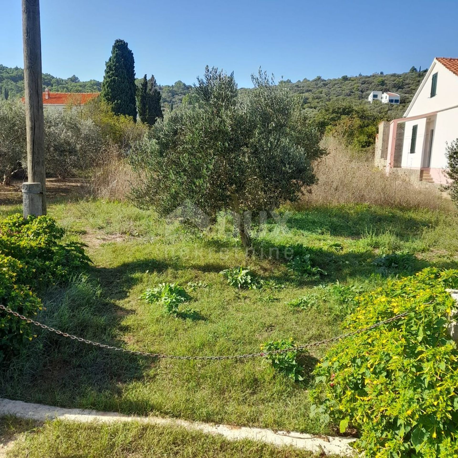 Terre dans Donje Petrcane, Zadarska Zupanija 12545729