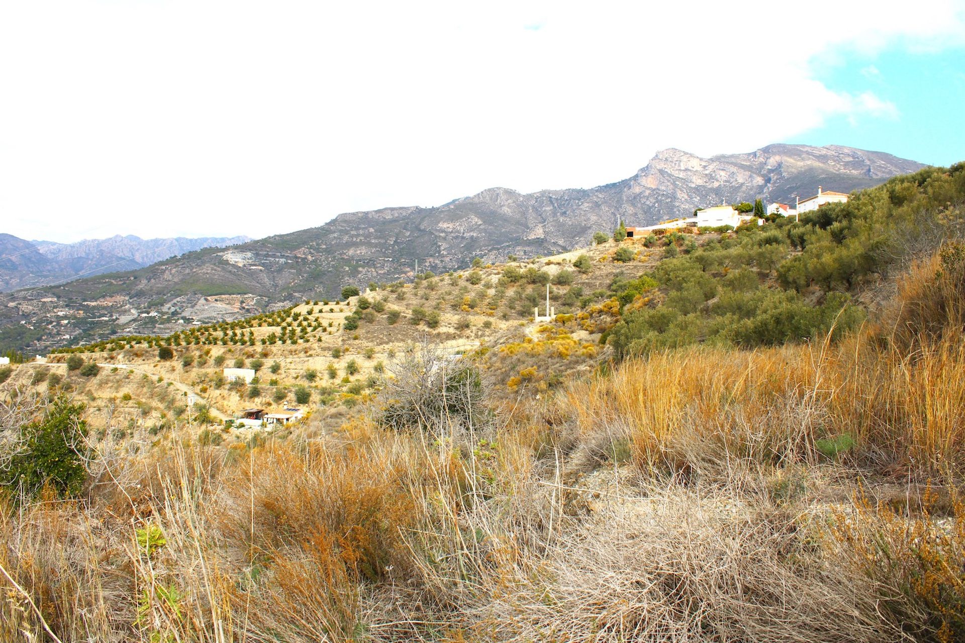 土地 在 Jete, Andalucía 12545857