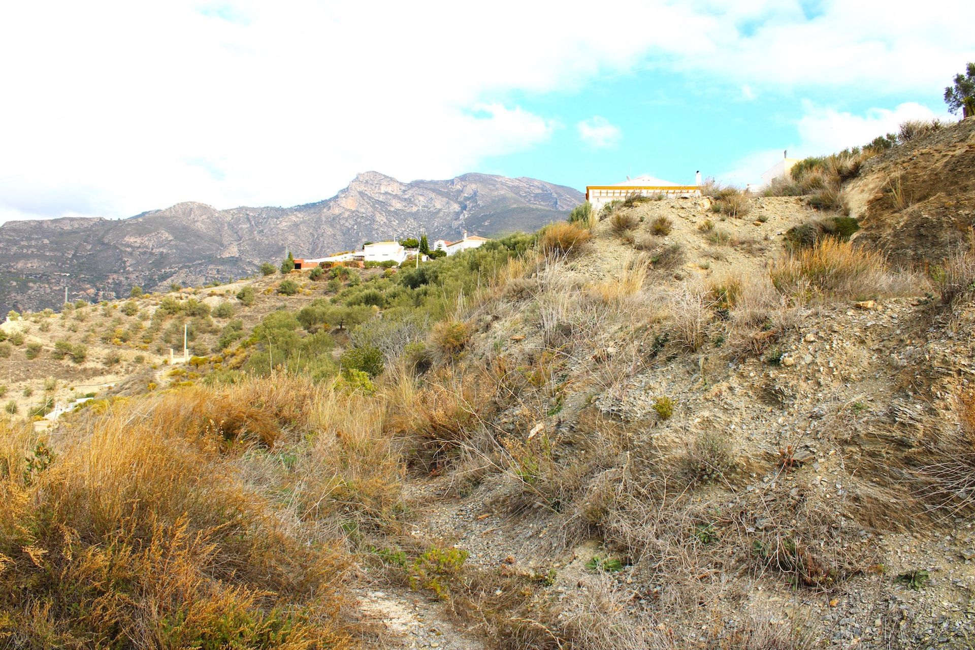 土地 在 Jete, Andalucía 12545857