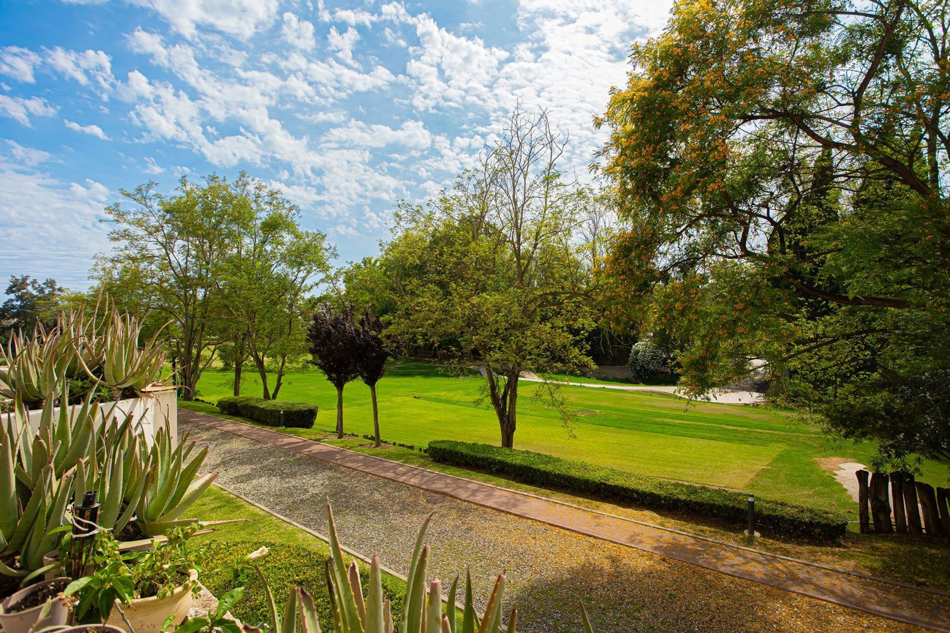 Condominium in Benahavis, Andalusia 12546581