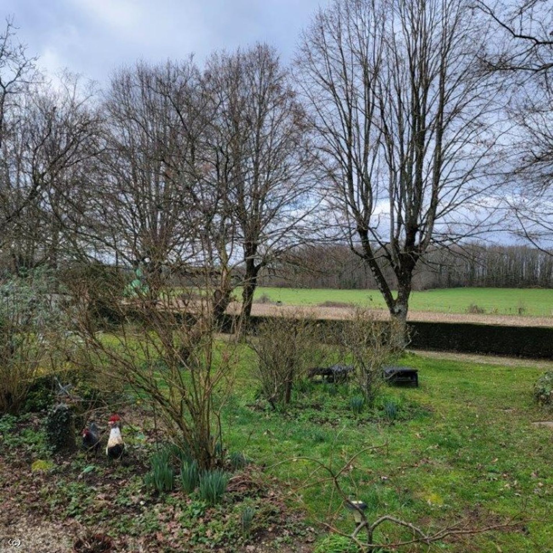 Casa nel Champagne-Mouton, Nouvelle-Aquitaine 12547158