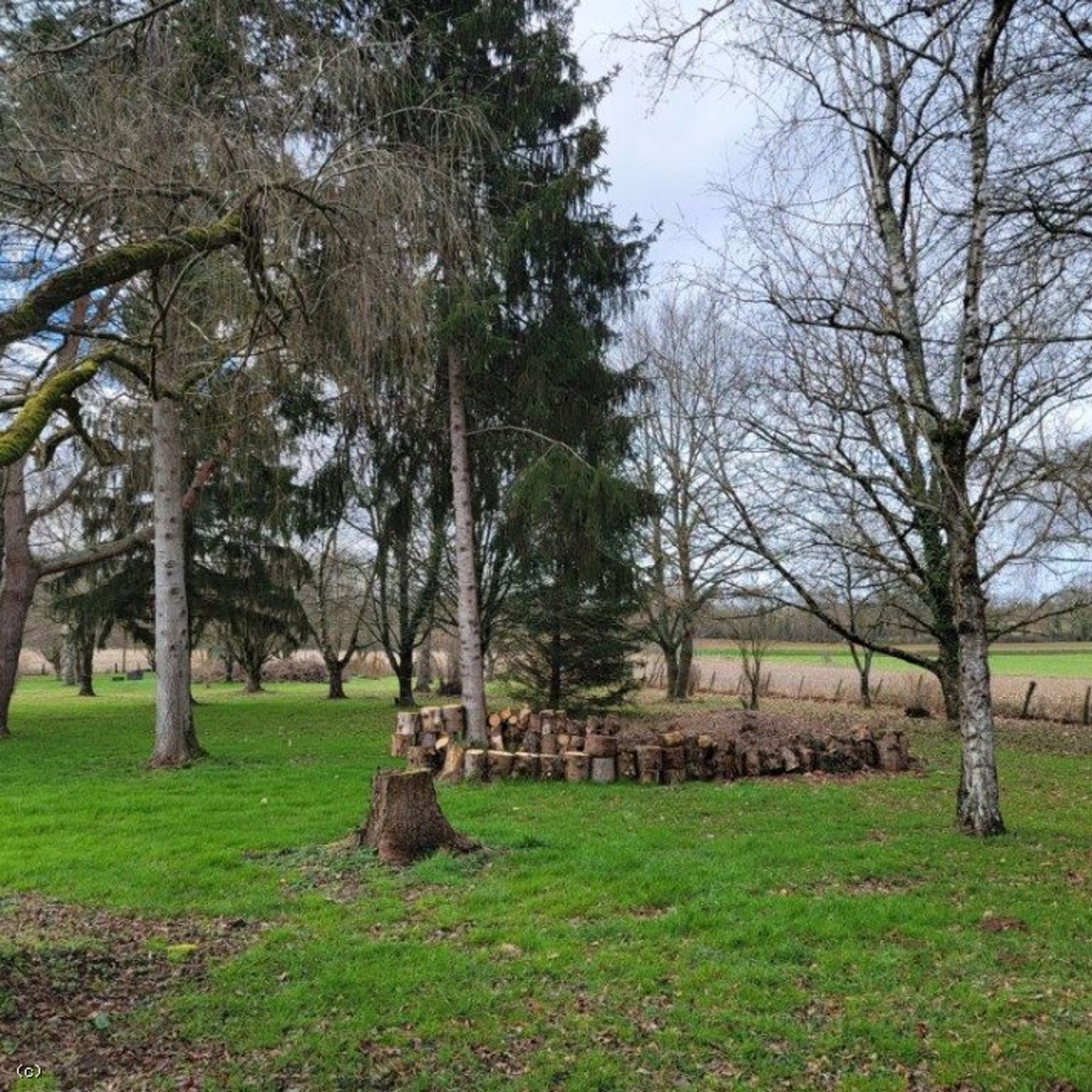 Casa nel Champagne-Mouton, Nouvelle-Aquitaine 12547158