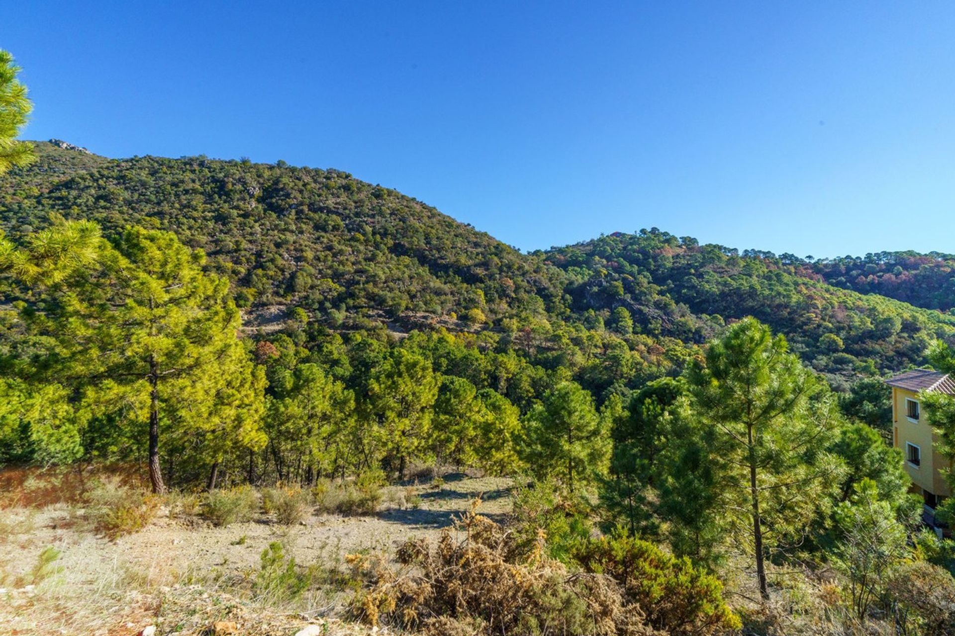 Jord i Benahavís, Andalusia 12547356