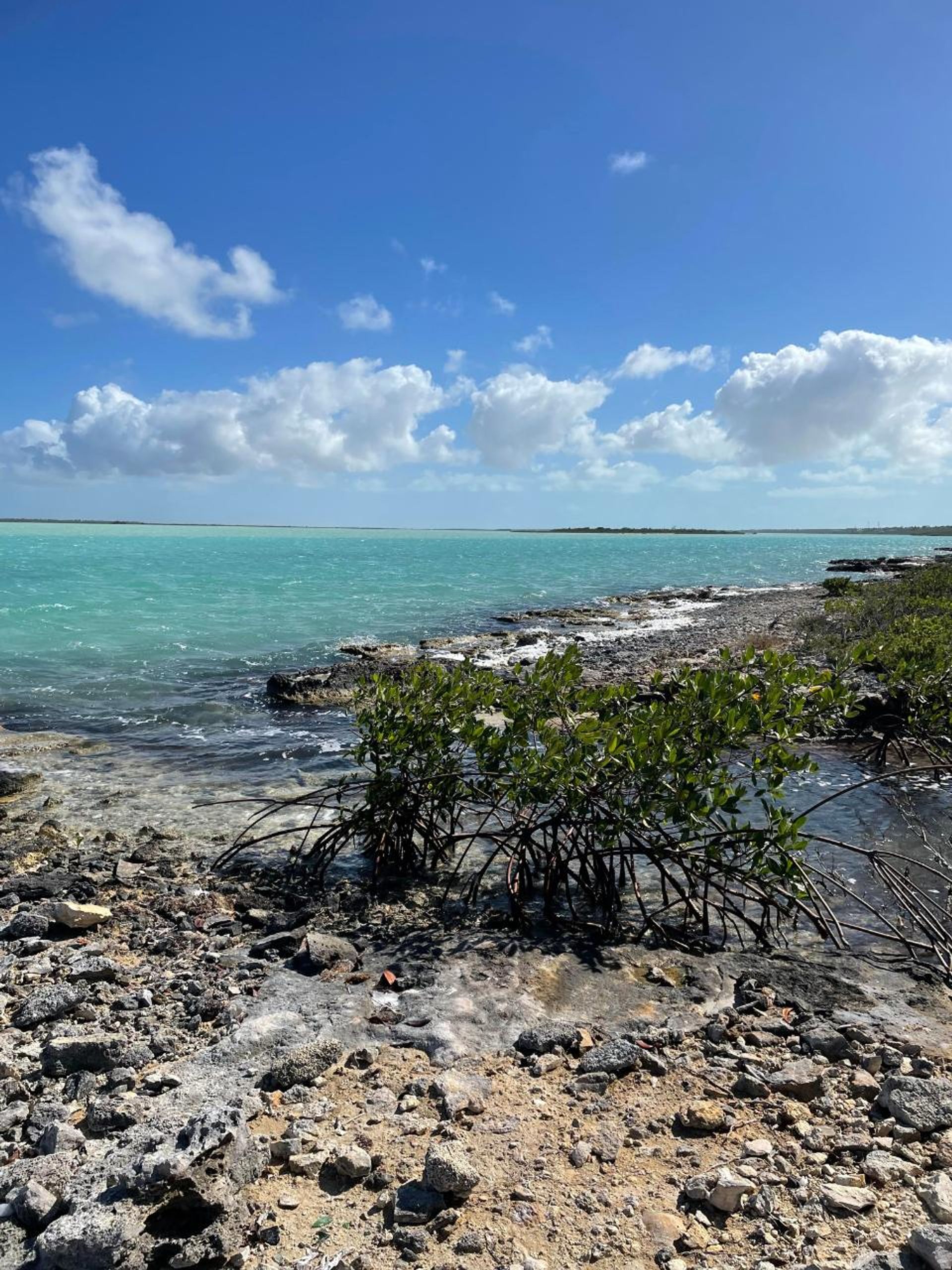 عمارات في , Caicos Islands 12547621