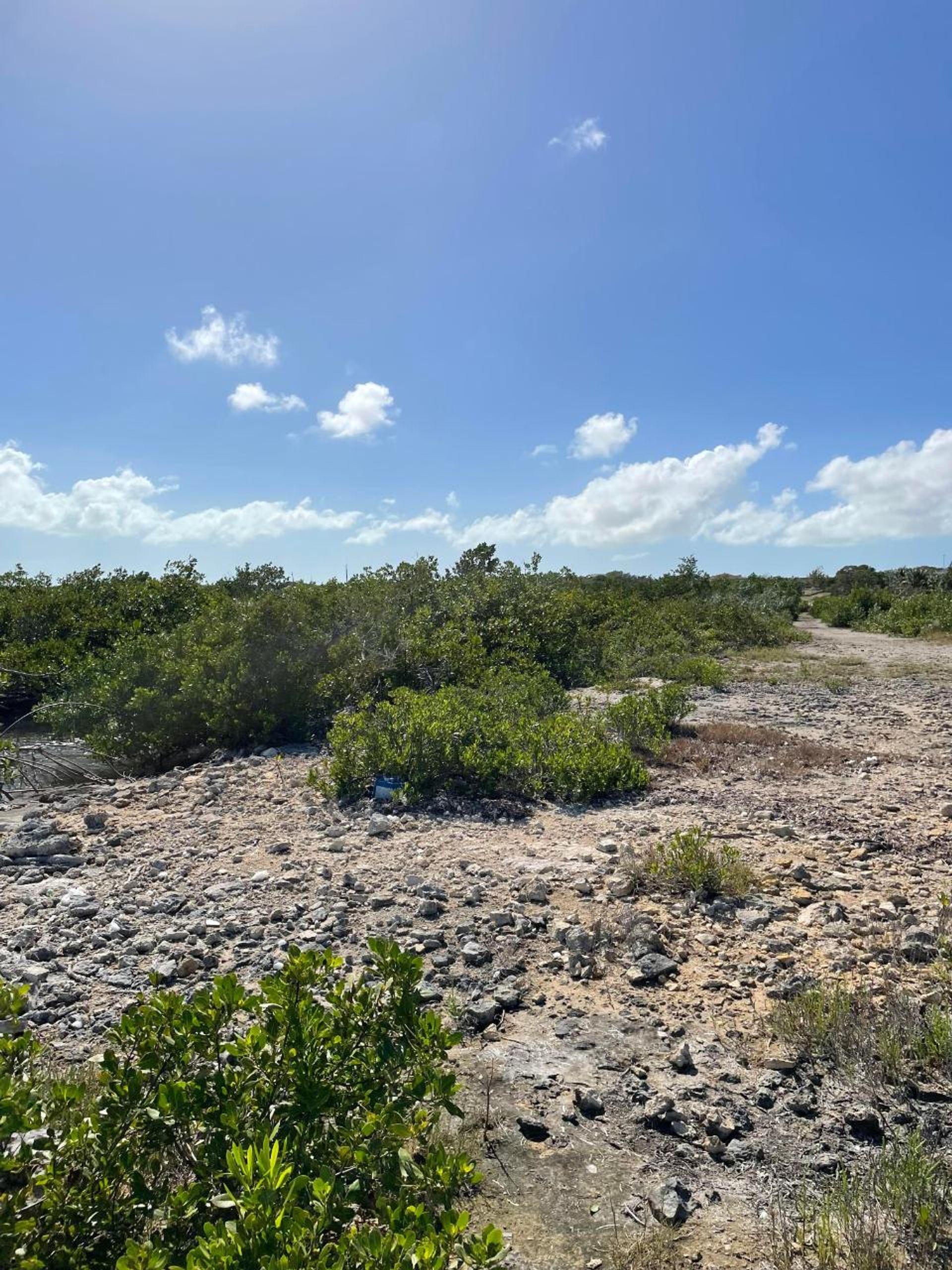 Condomínio no , Caicos Islands 12547621