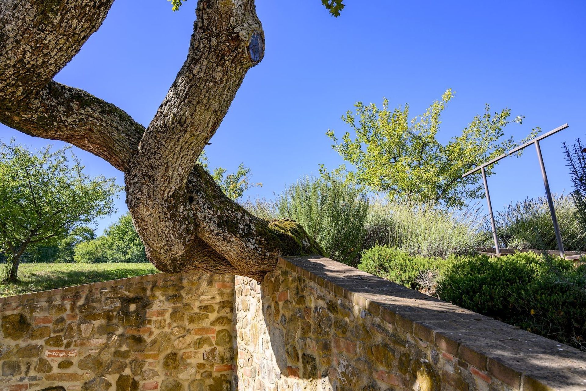 жилой дом в Montepulciano, Tuscany 12547660