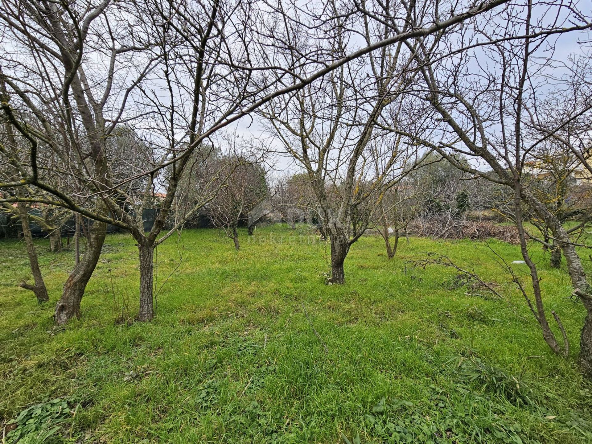 Terre dans Méduline, Istarska Zupanija 12547986