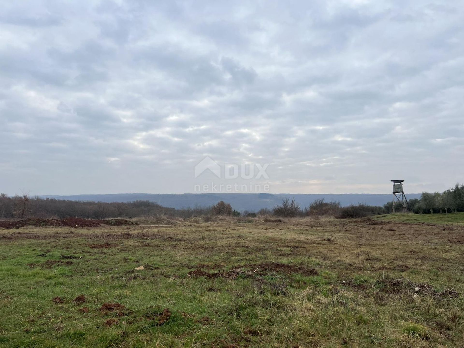 Land in Brtonigla, Istarska Zupanija 12547988