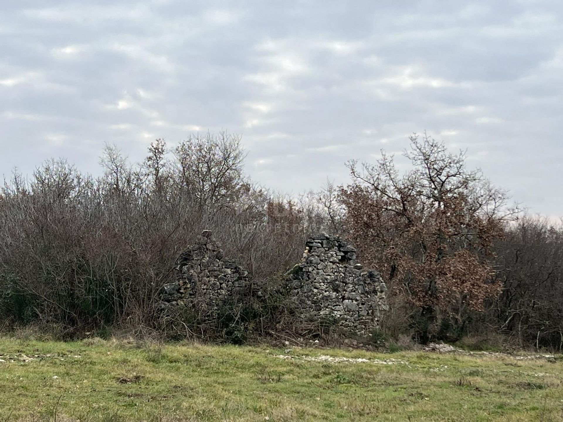 Land i Brtonigla, Istarska Zupanija 12547988