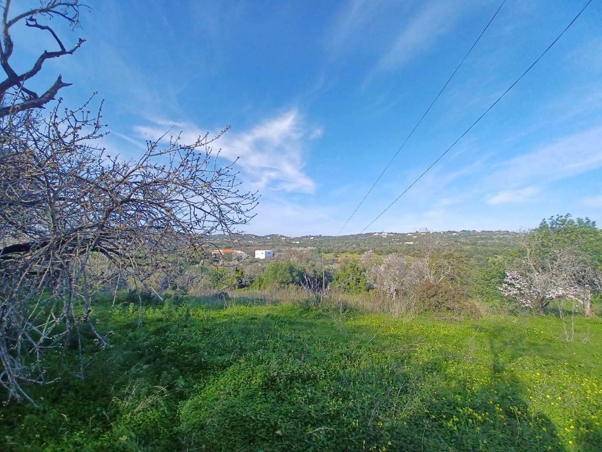 Land in Loulé, Faro District 12550303