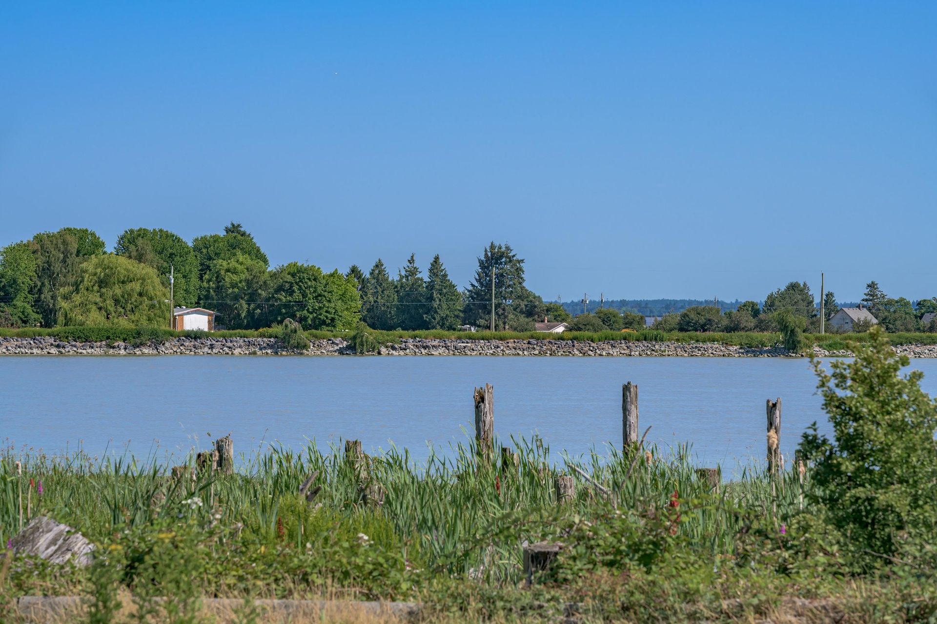 Muu sisään Delta, British Columbia 12551851