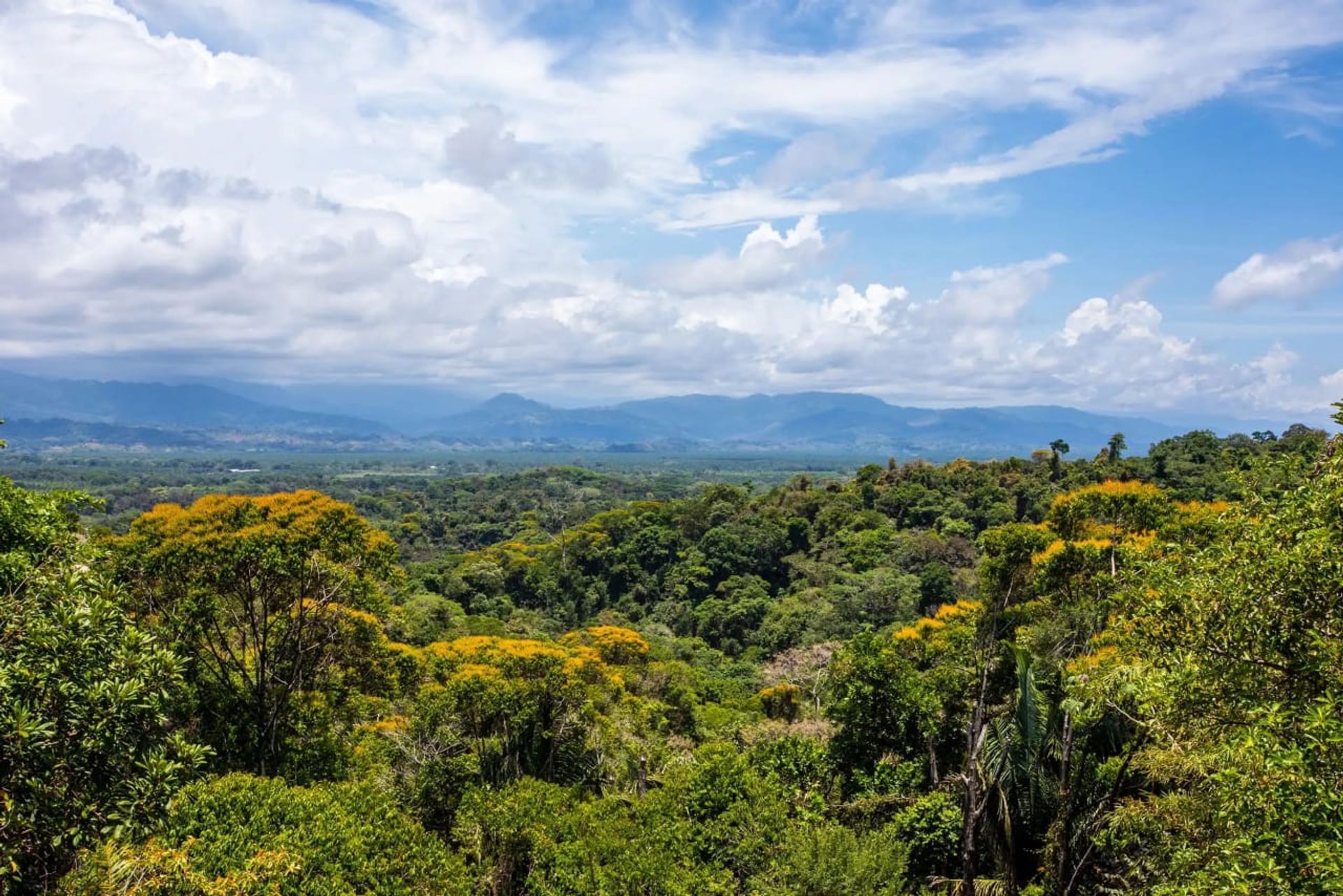 Haus im Quepos, Provincia de Puntarenas 12551991