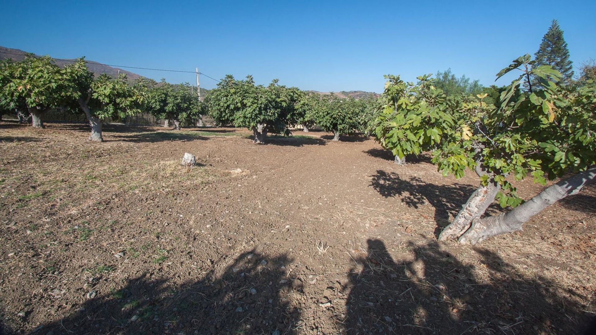 Talo sisään Estepona, Andalusia 12553250