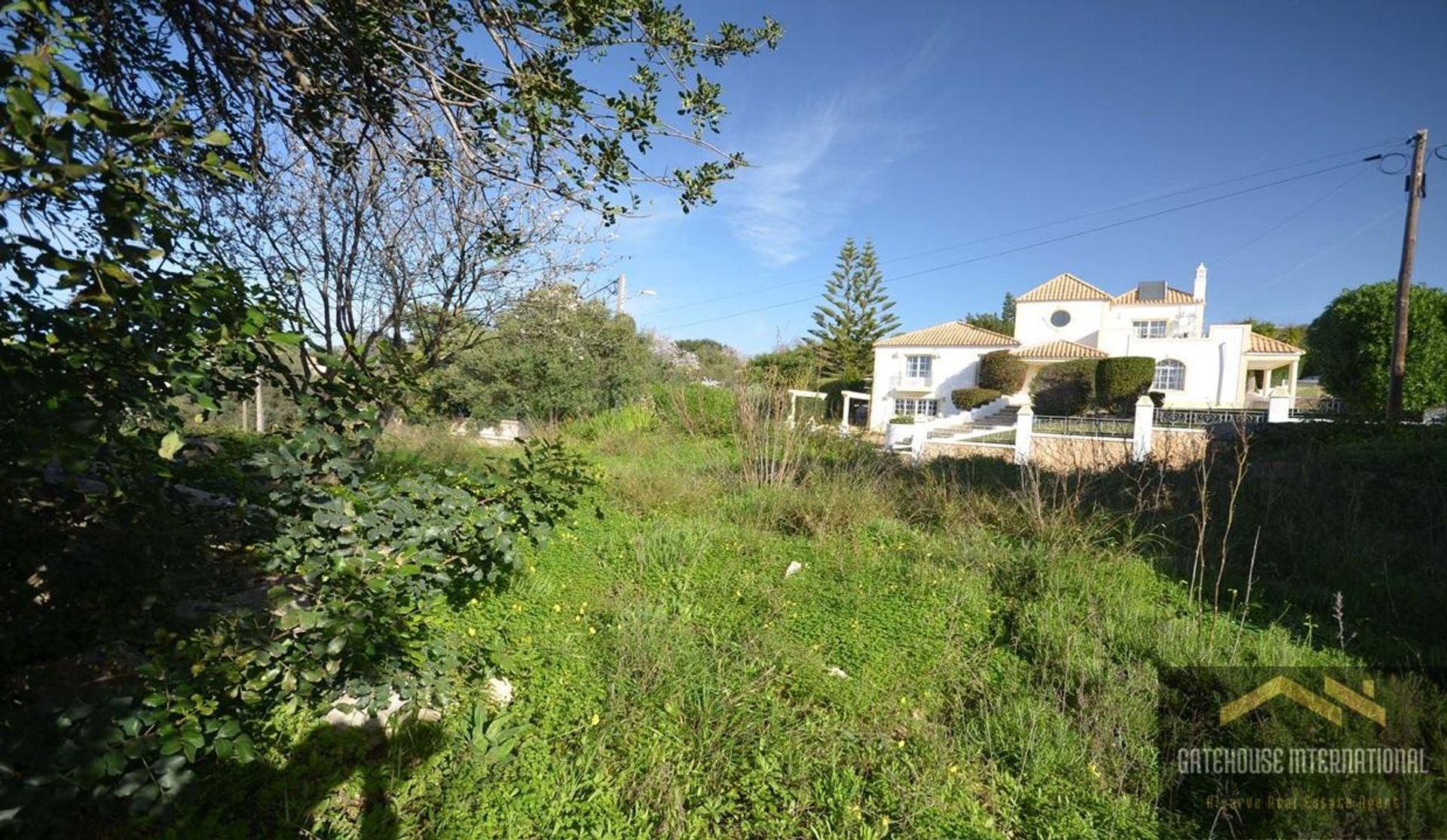 Land in , Faro 12553480