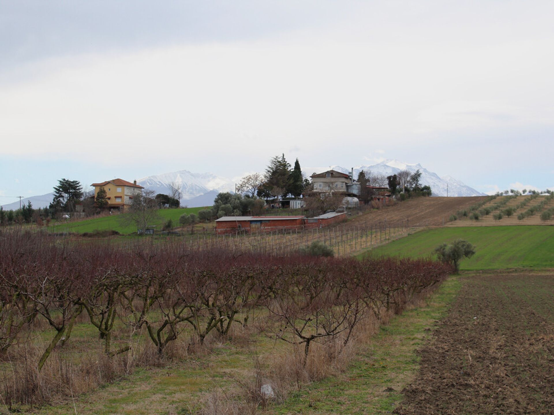 Tierra en Kato Agios Ioannis, Kentriki Macedonia 12554053