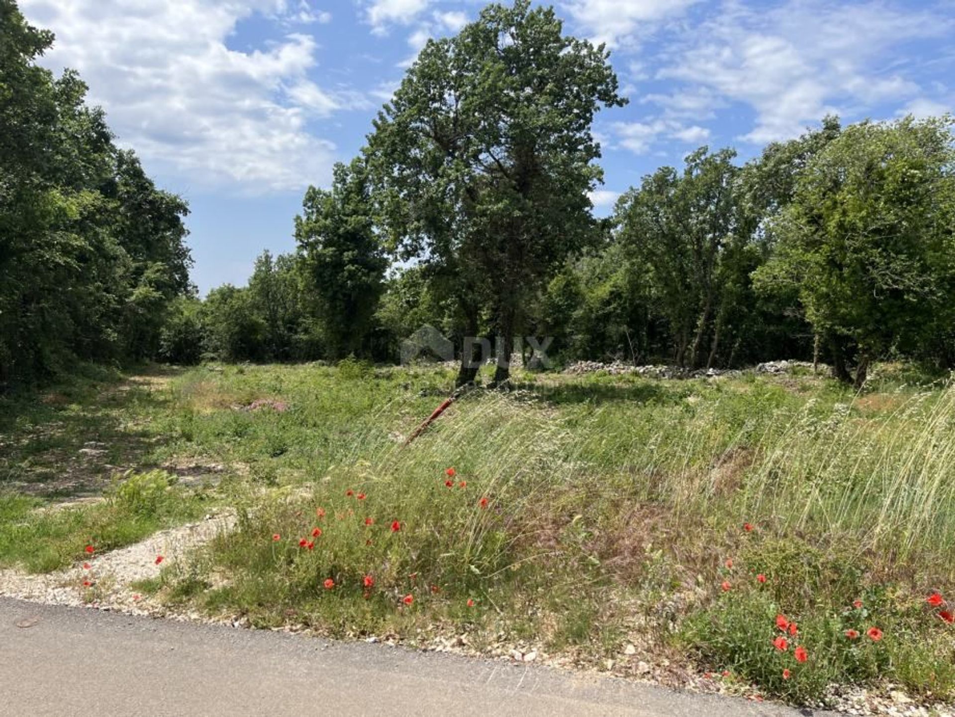 Land in Sveti Lovreč, Istria County 12554094