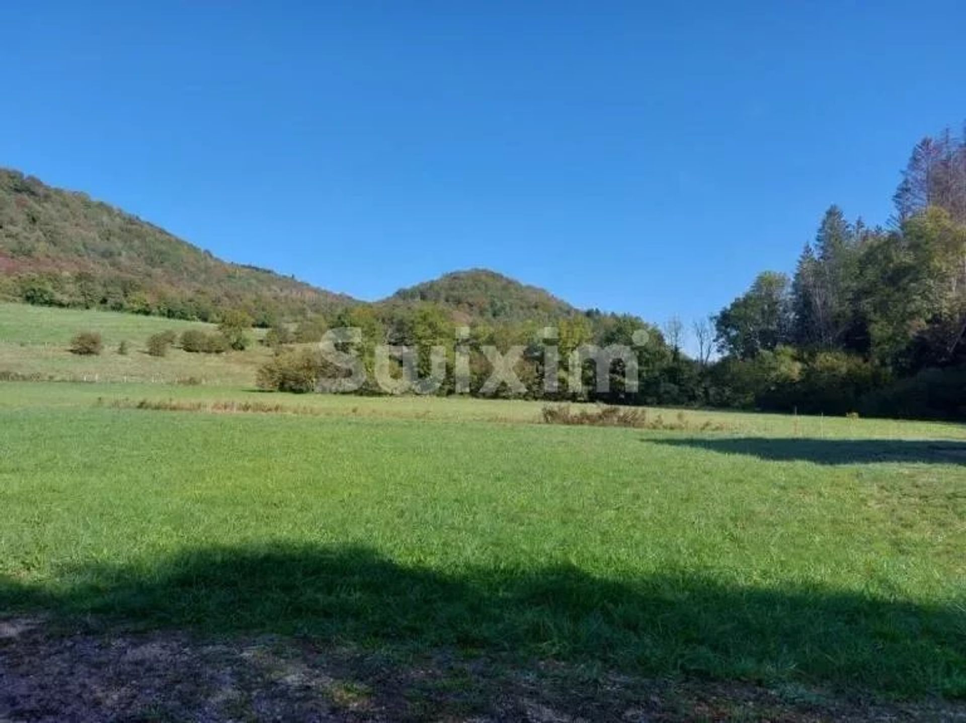 Land im Orgelet, Jura 12554753