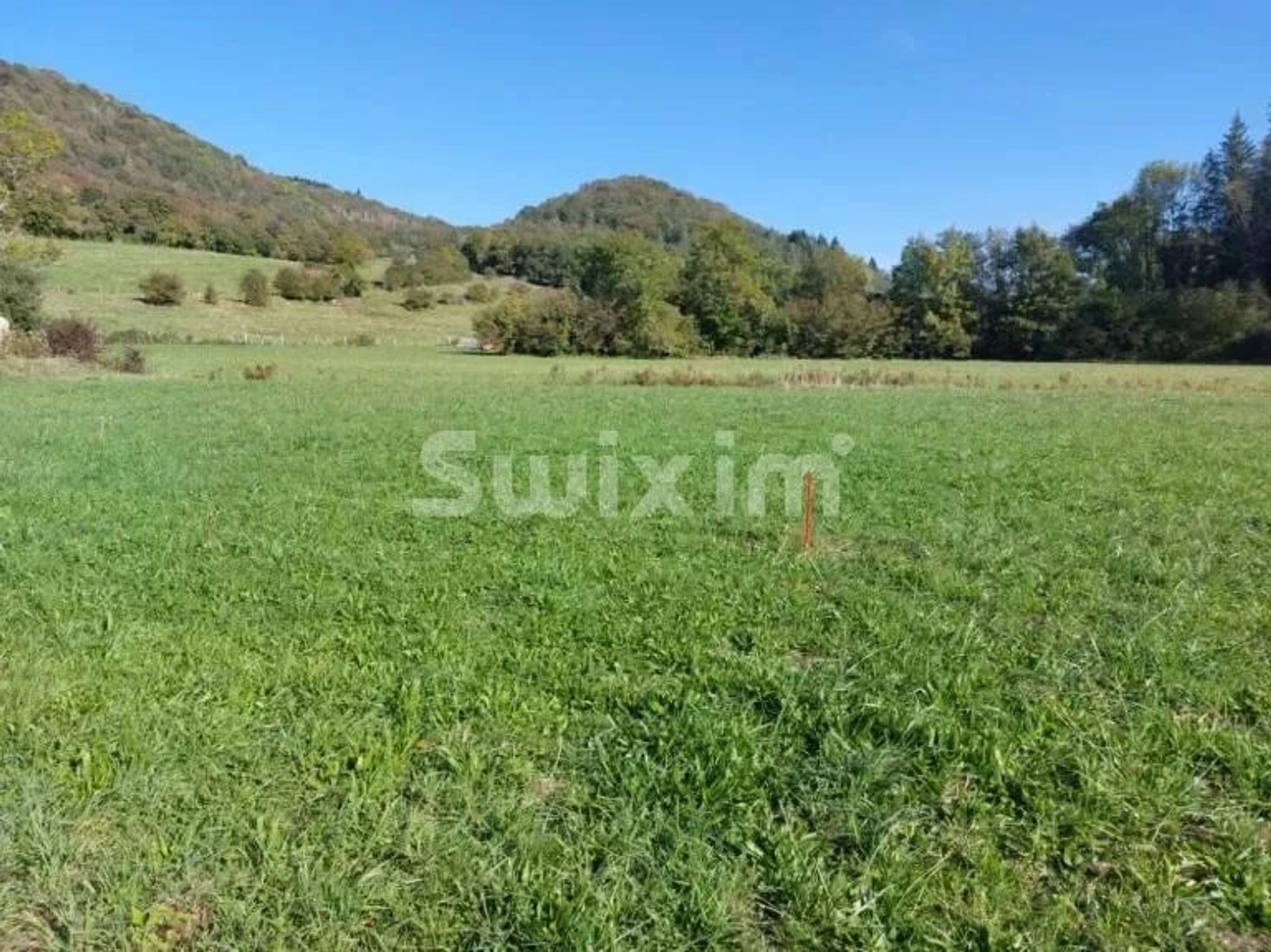 Land im Orgelet, Jura 12554753