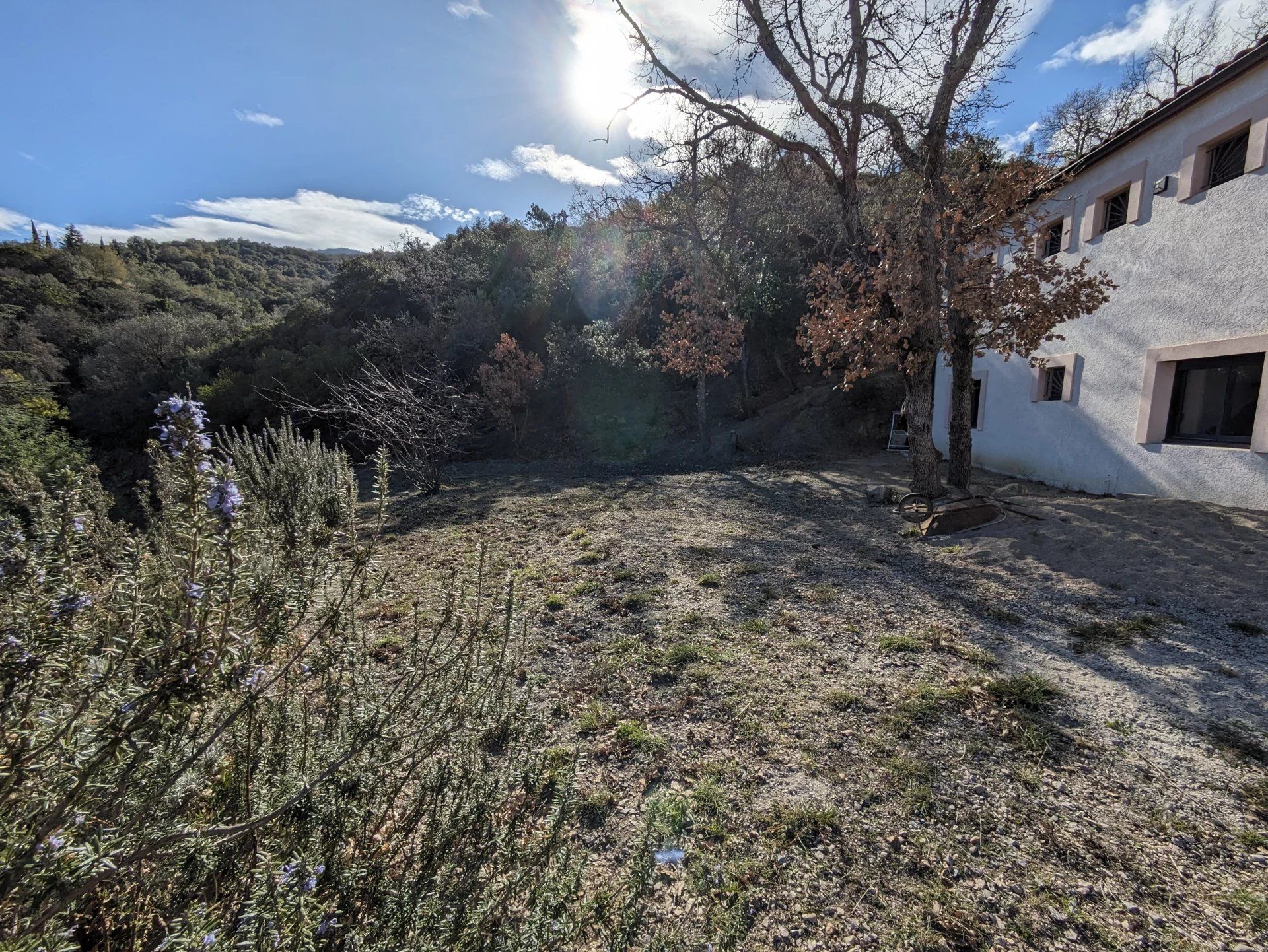 Haus im Le Boulou, Pyrénées-Orientales 12555739