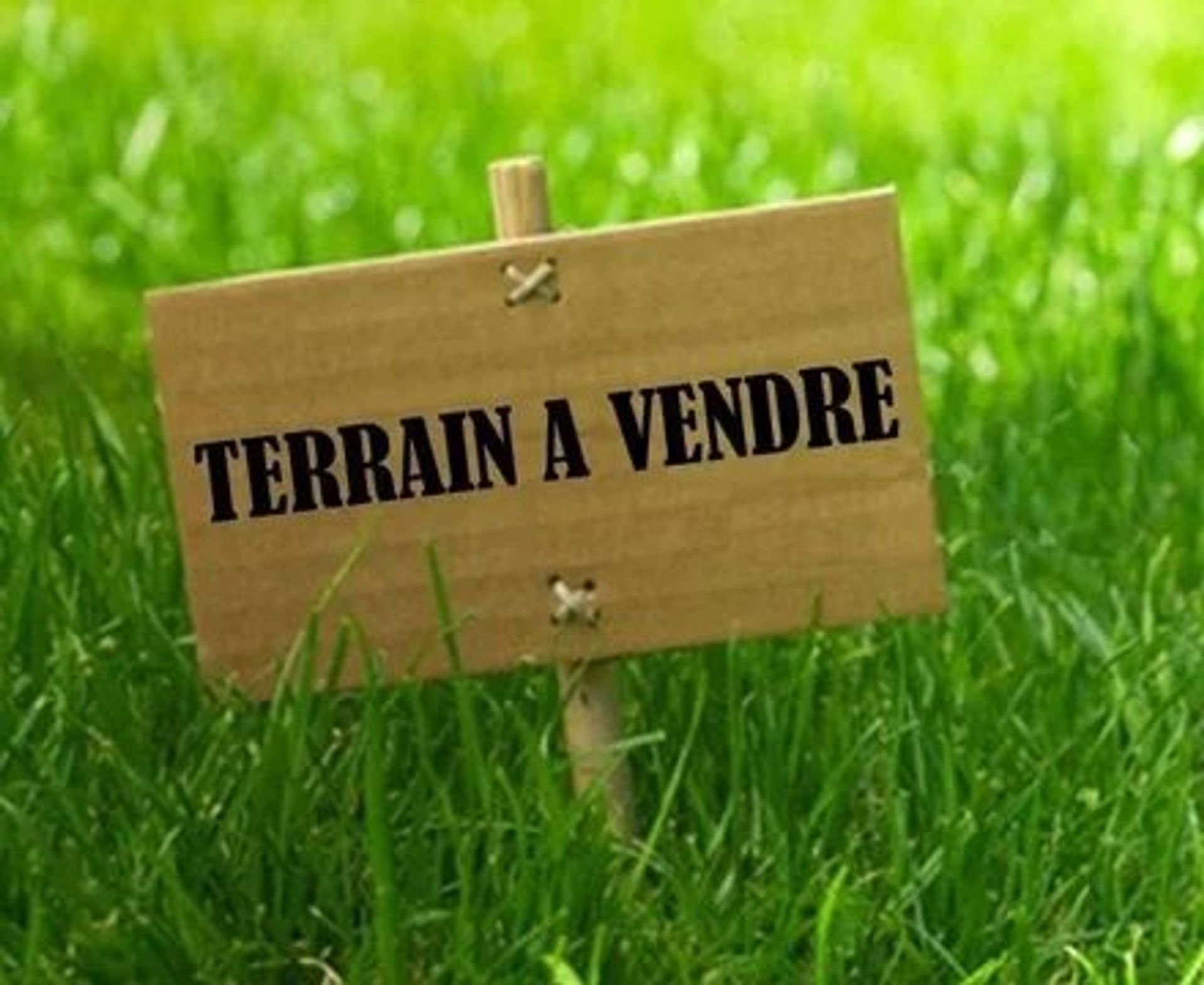 Land im Saint-Ciers-sur-Gironde, Gironde 12556578