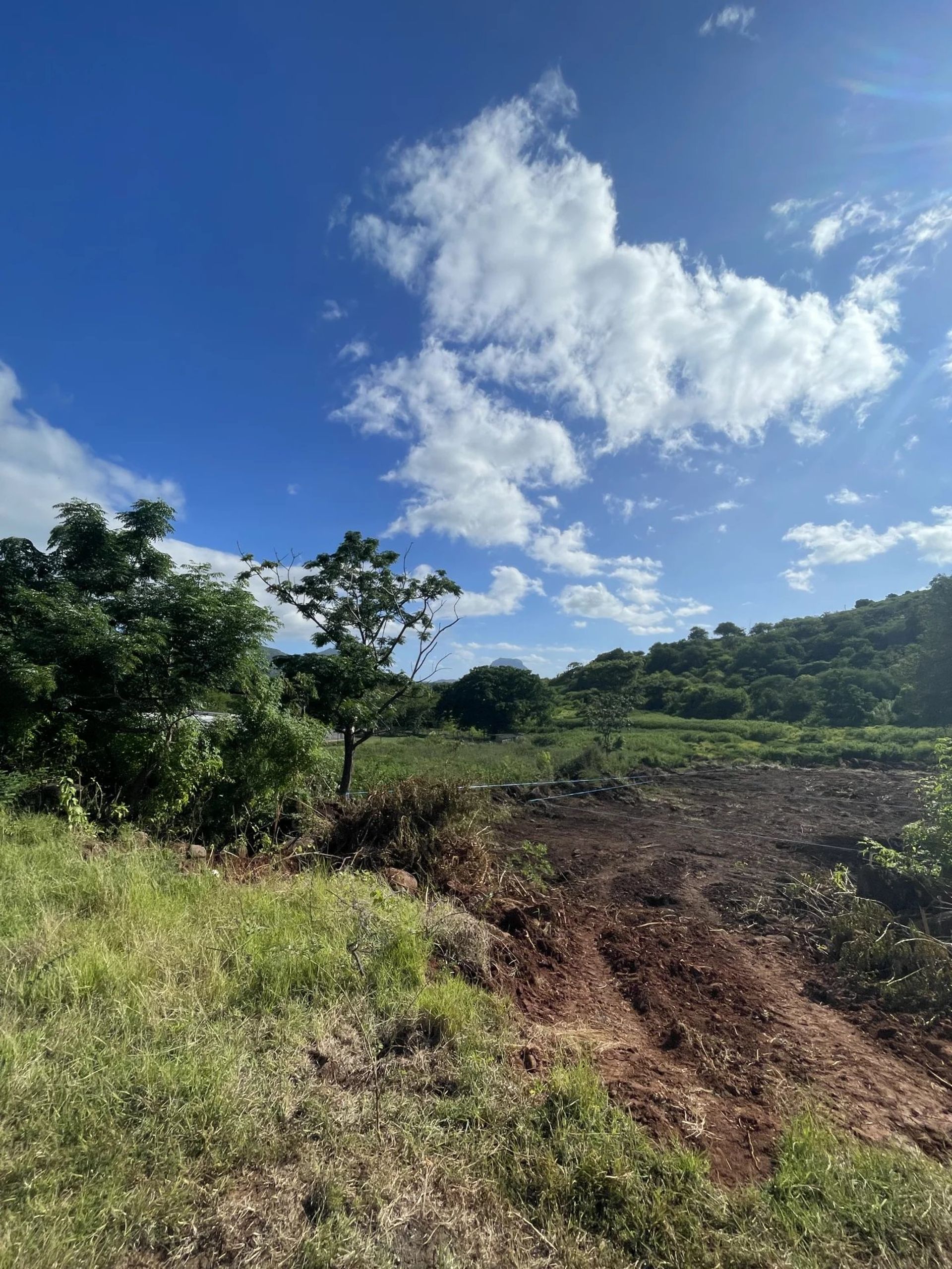 Terre dans Grande Case Noyale, Rivière Noire 12556687