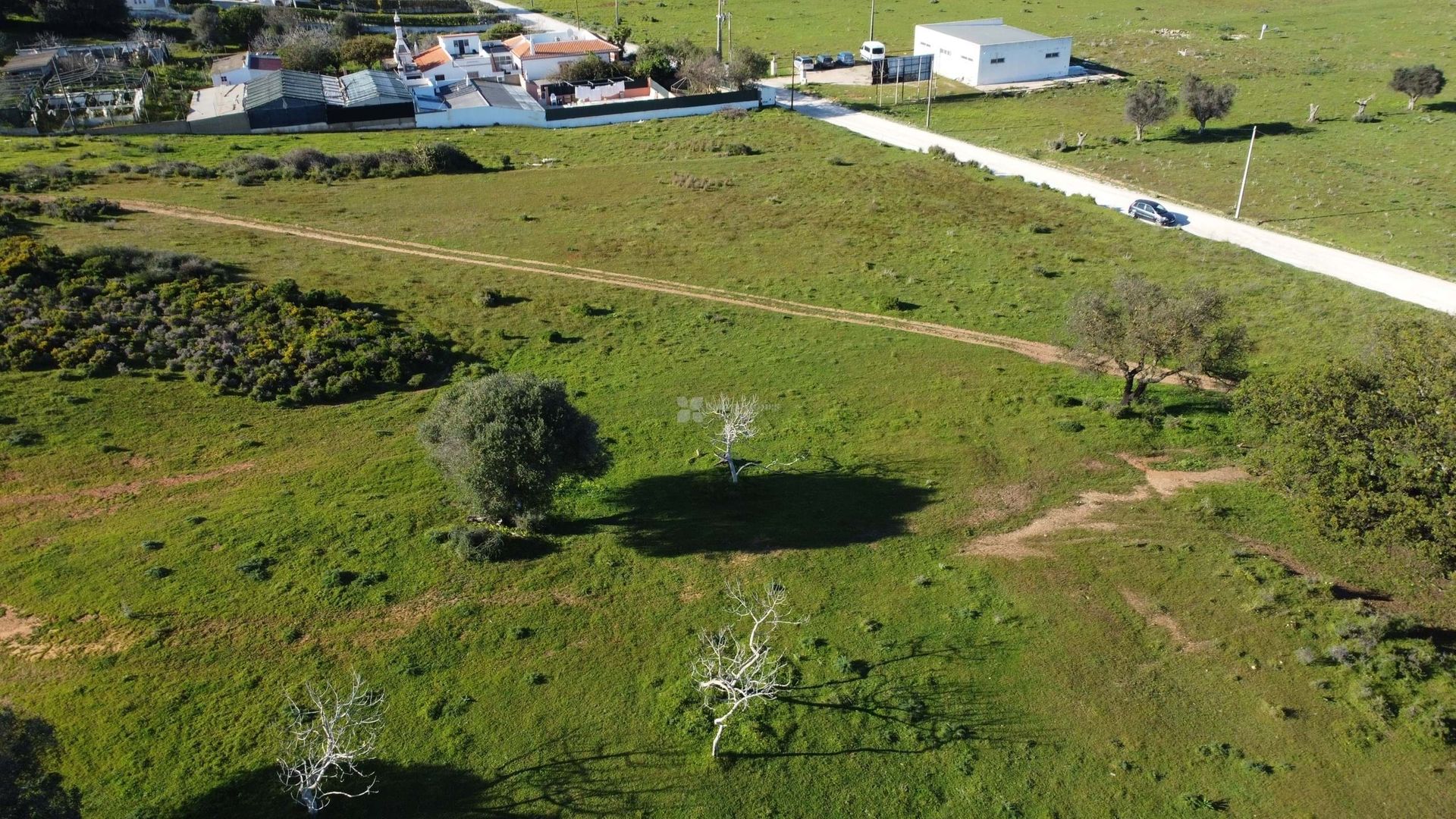 Tierra en Roja-Pe, Faraón 12557560