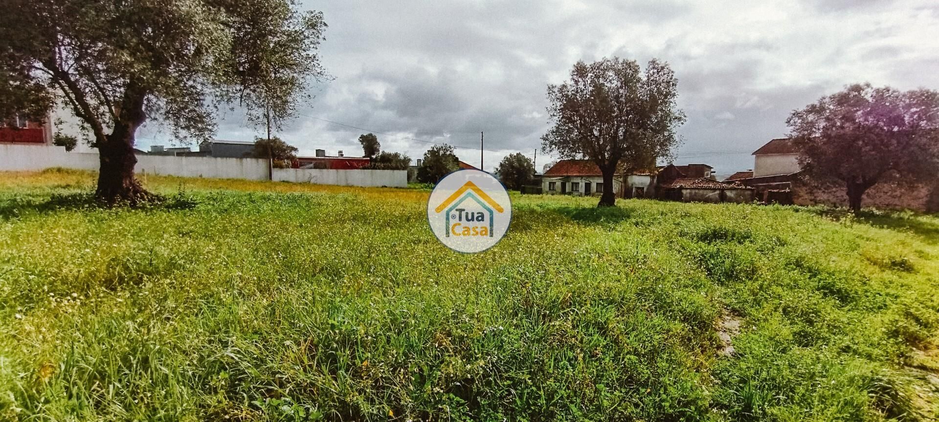 Land i Meãs do Campo, Coimbra 12557926