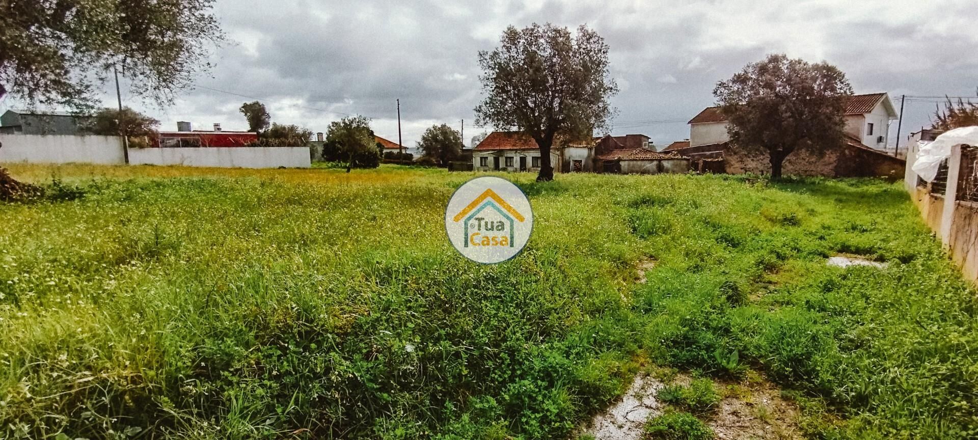 Land i Meãs do Campo, Coimbra 12557926