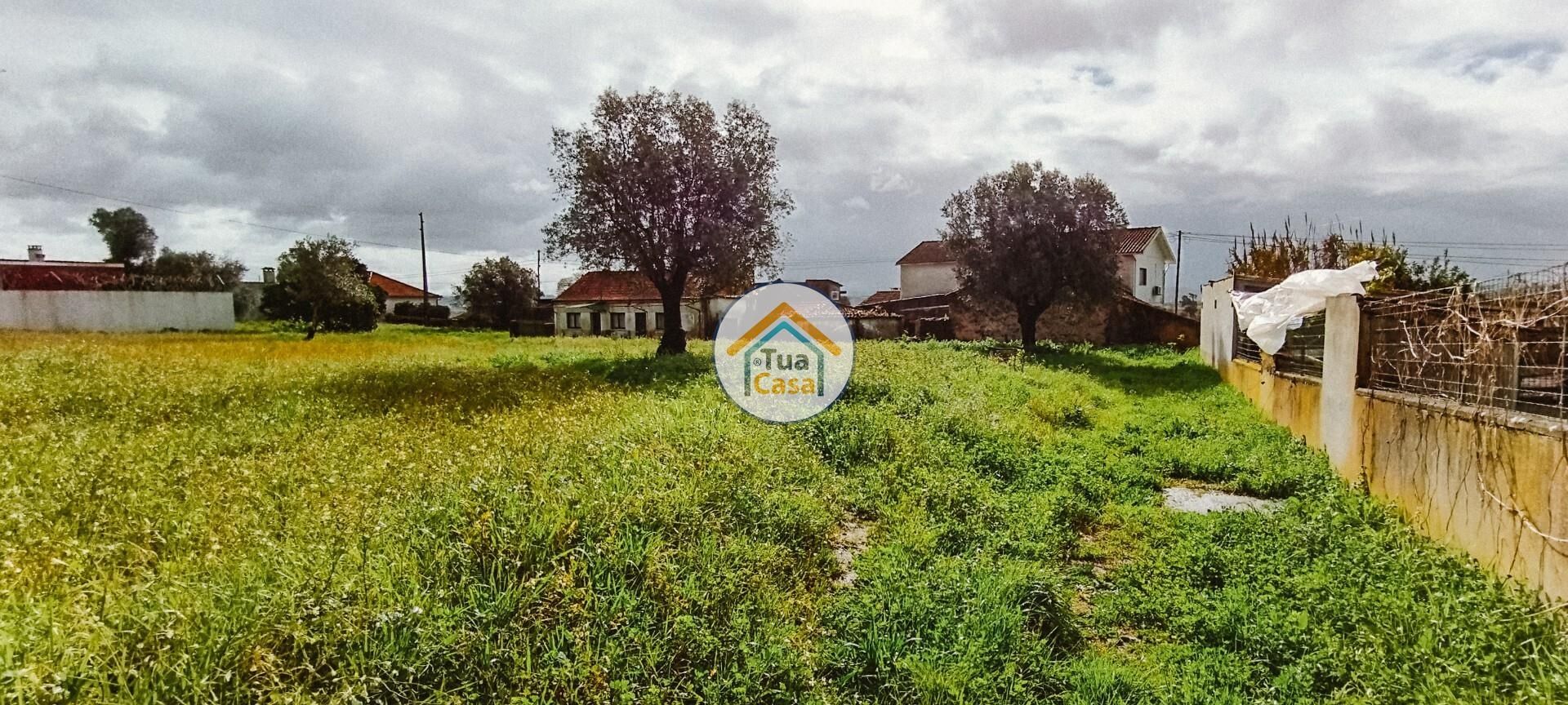 Tanah di Meas do Campo, Coimbra 12557926