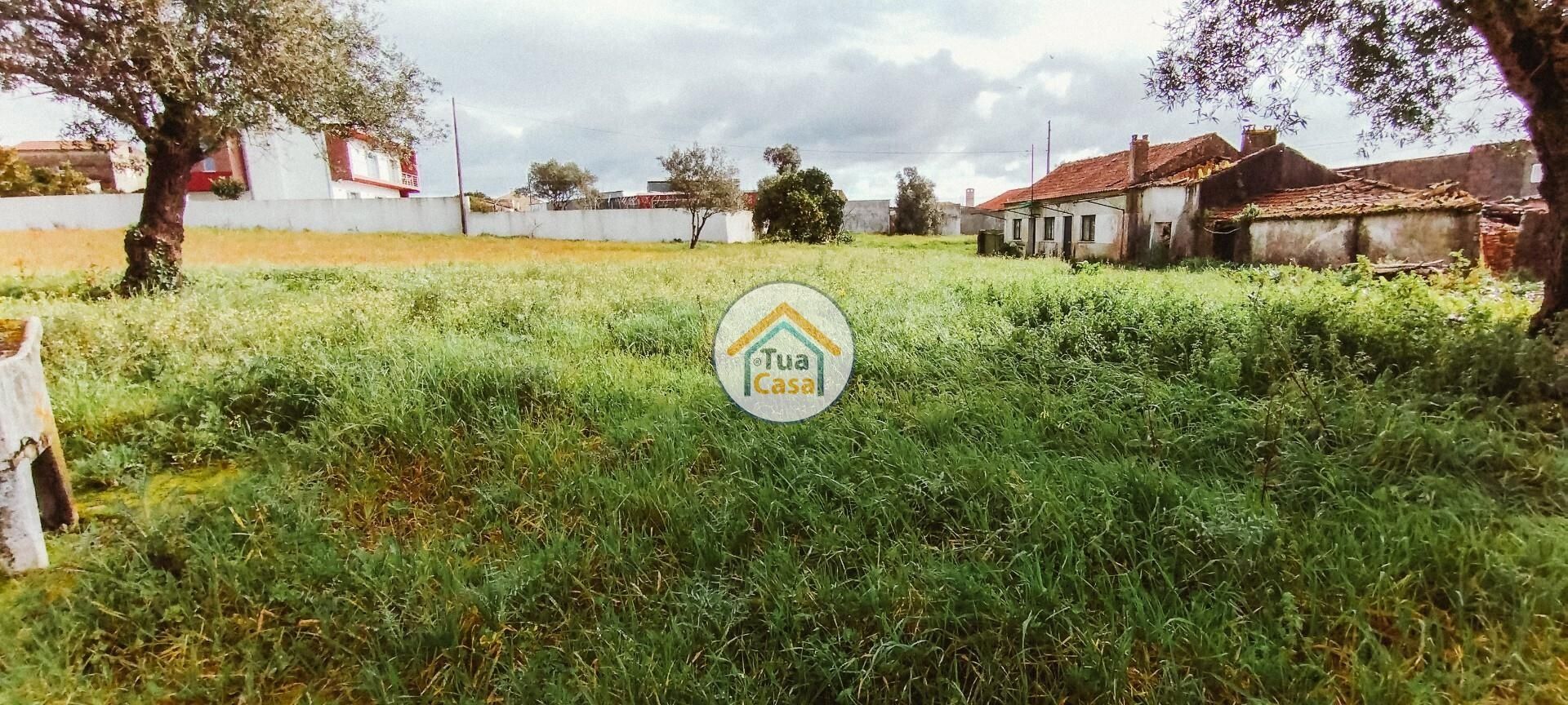 Tierra en Meãs do Campo, Coimbra 12557926