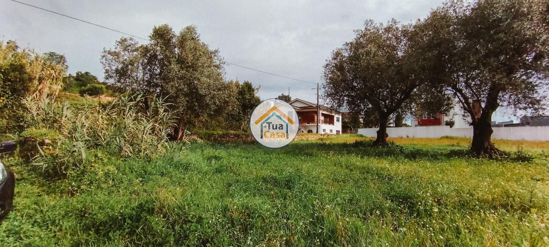 Tierra en Meãs do Campo, Coimbra 12557926