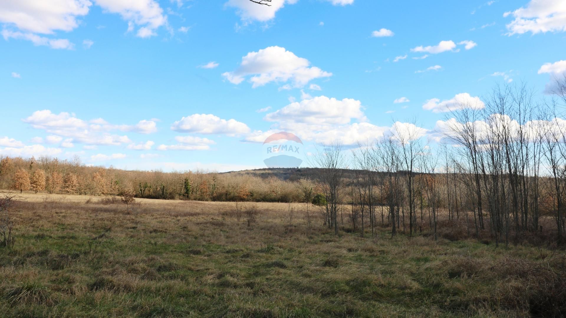 Land im Višnjan, Istarska županija 12558394