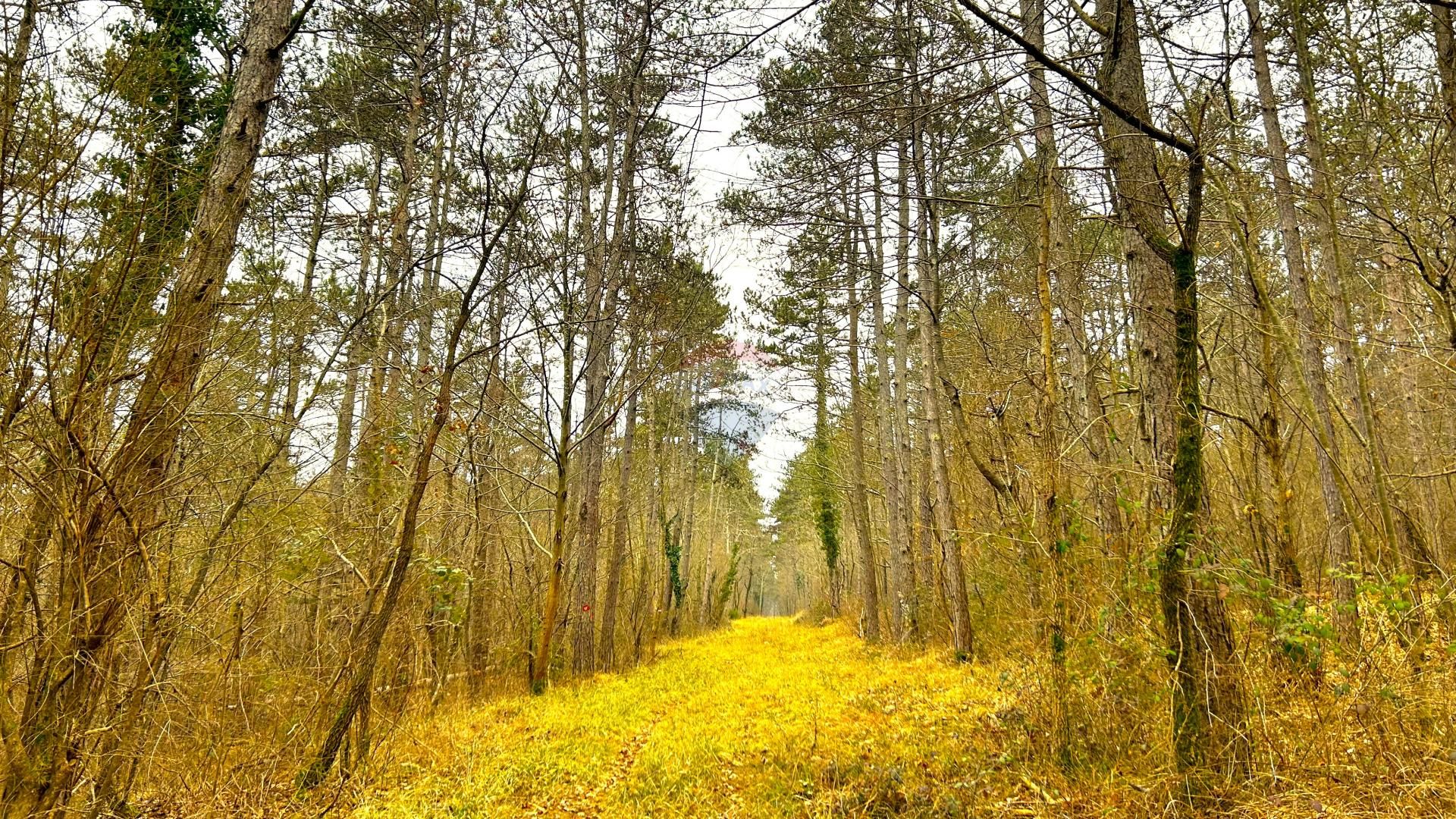 Tierra en Završje, Istarska županija 12558412